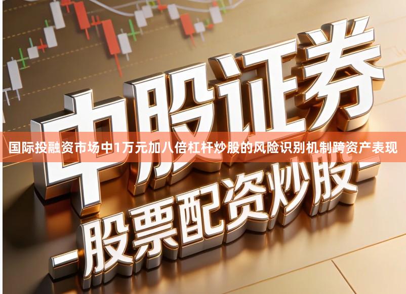 国际投融资市场中1万元加八倍杠杆炒股的风险识别机制跨资产表现