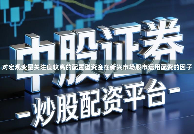 对宏观变量关注度较高的配置型资金在新兴市场股市运用配资的因子