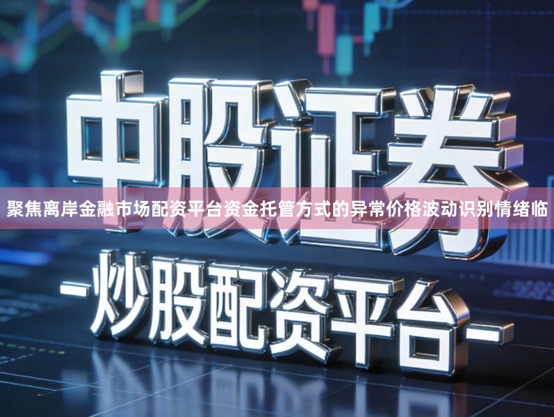 聚焦离岸金融市场配资平台资金托管方式的异常价格波动识别情绪临