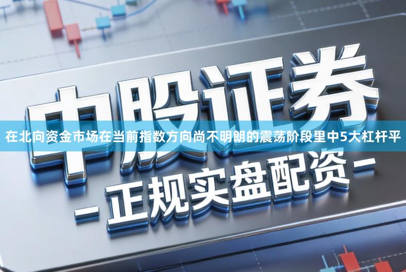 在北向资金市场在当前指数方向尚不明朗的震荡阶段里中5大杠杆平