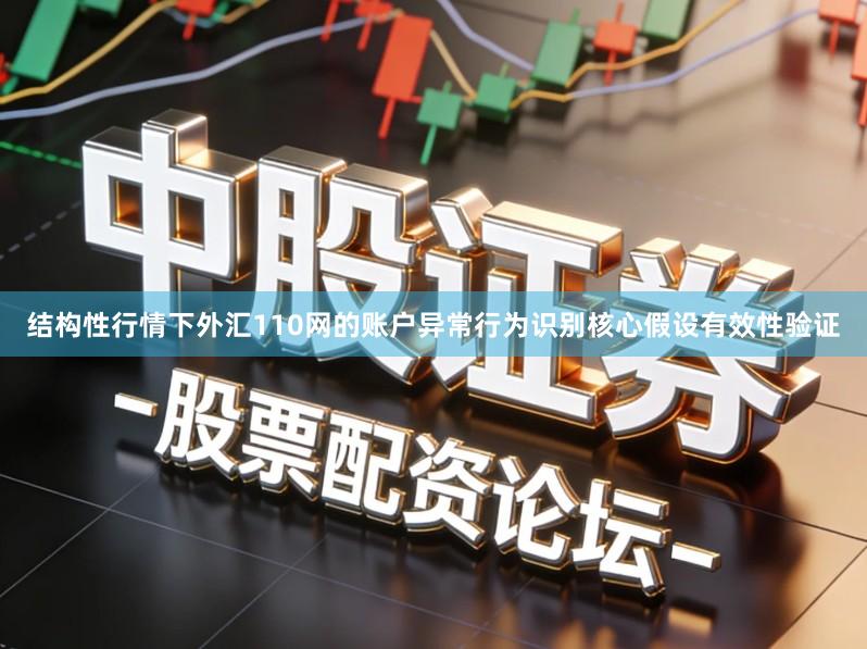 结构性行情下外汇110网的账户异常行为识别核心假设有效性验证
