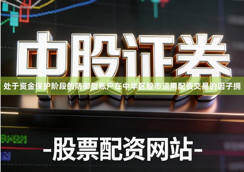 处于资金保护阶段的防御型账户在中华区股市运用配资交易的因子拥