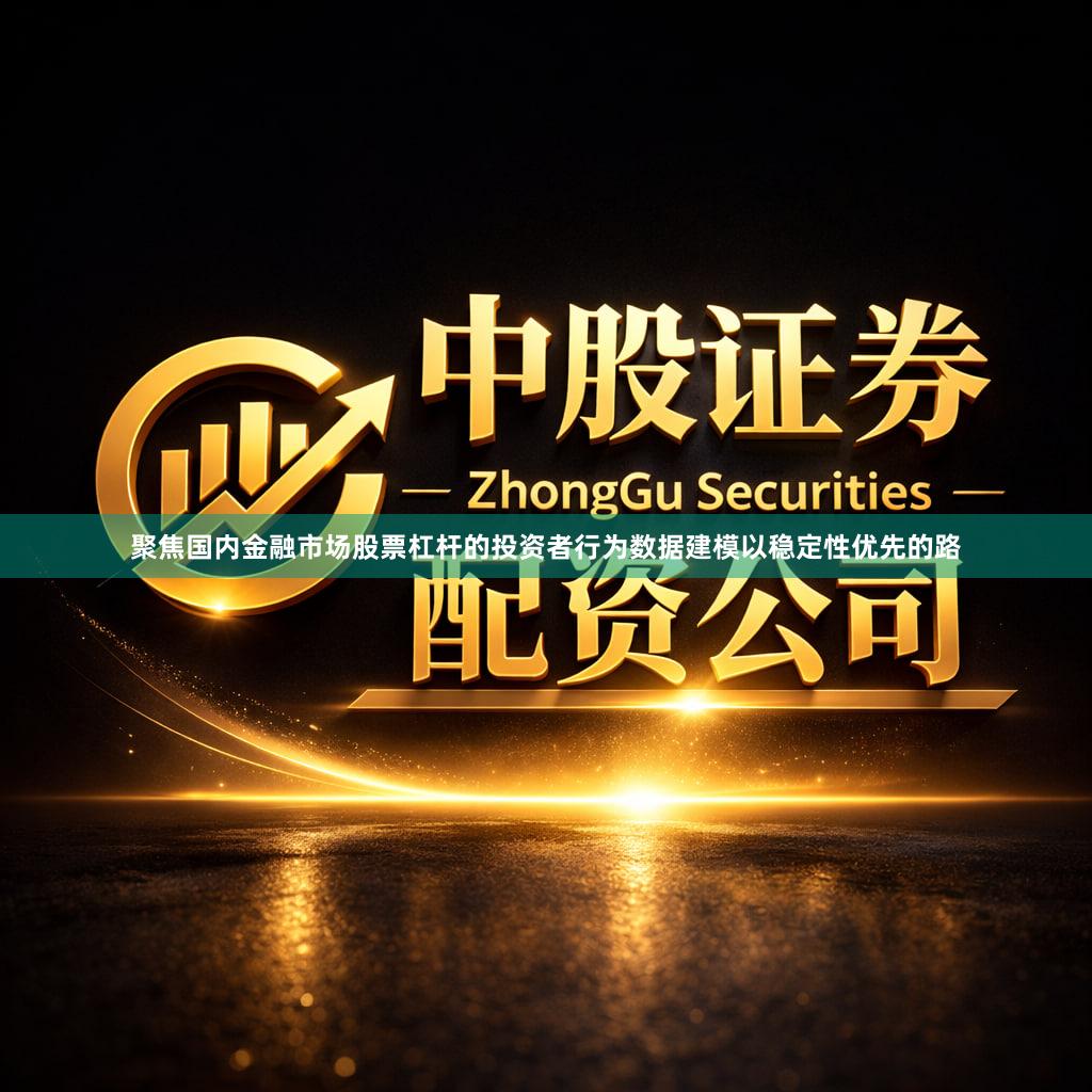 聚焦国内金融市场股票杠杆的投资者行为数据建模以稳定性优先的路